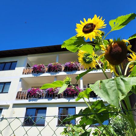 Gästehaus Herma Ramsau am Dachstein Exterior foto