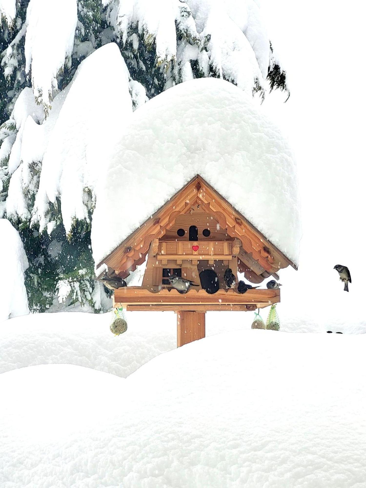 Ferienwohnung Gästehaus Herma Ramsau am Dachstein Exterior foto