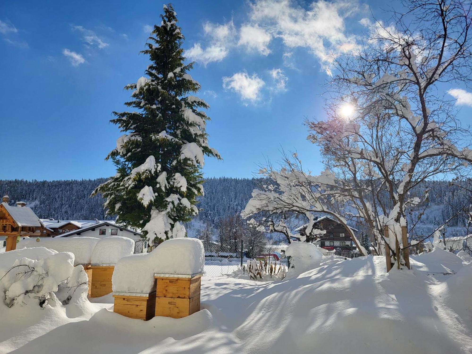 Ferienwohnung Gästehaus Herma Ramsau am Dachstein Exterior foto