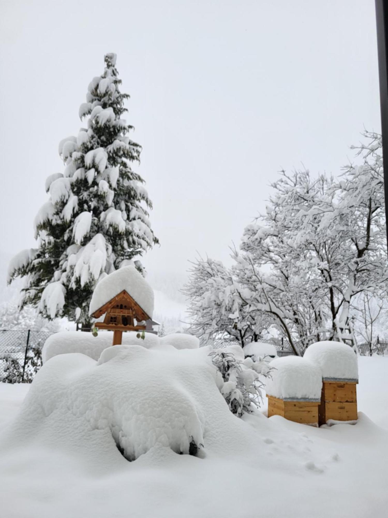 Ferienwohnung Gästehaus Herma Ramsau am Dachstein Exterior foto