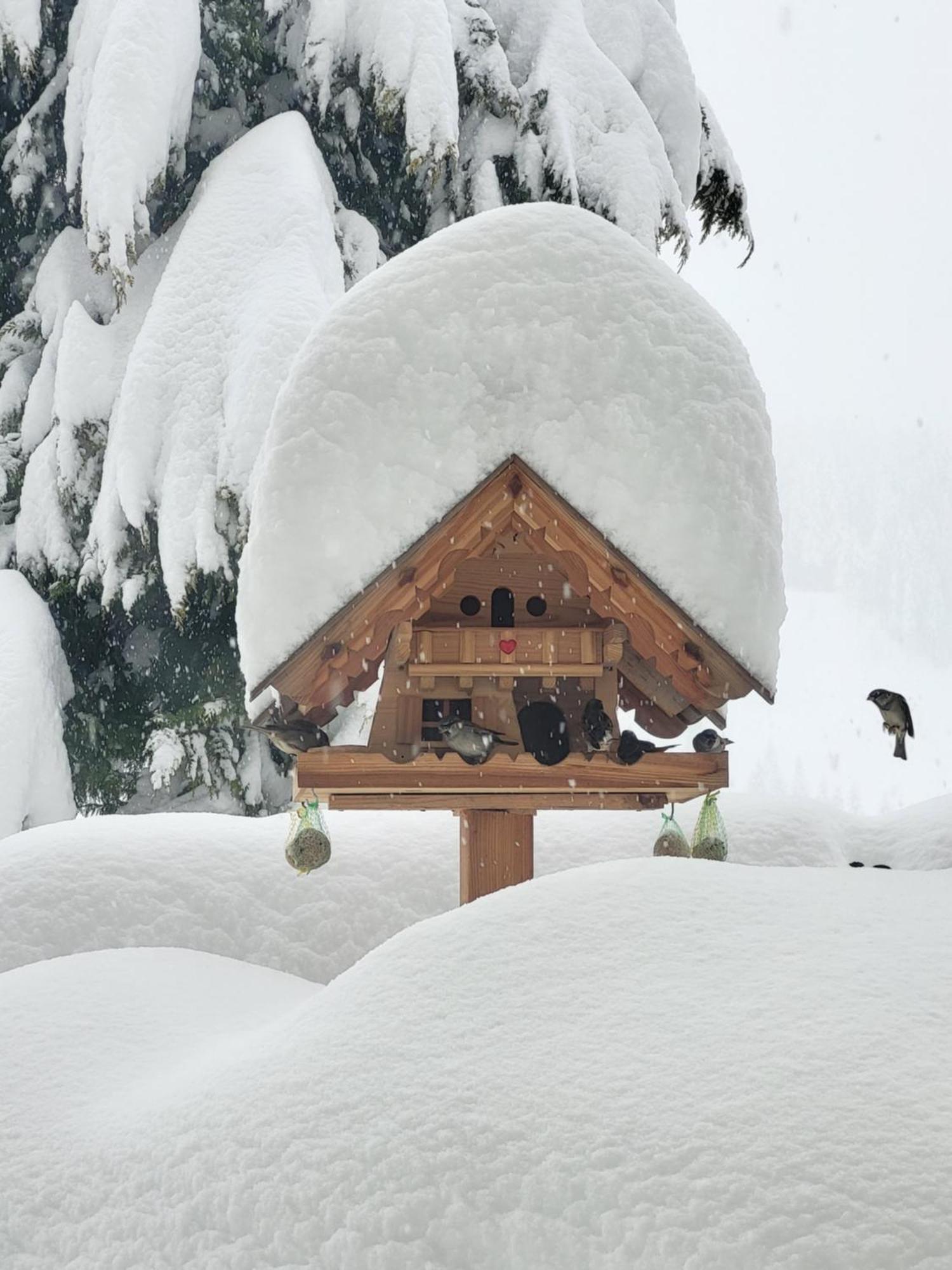 Ferienwohnung Gästehaus Herma Ramsau am Dachstein Exterior foto