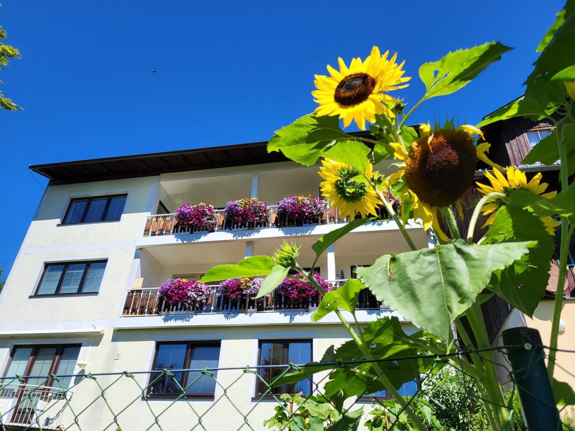 Ferienwohnung Gästehaus Herma Ramsau am Dachstein Exterior foto