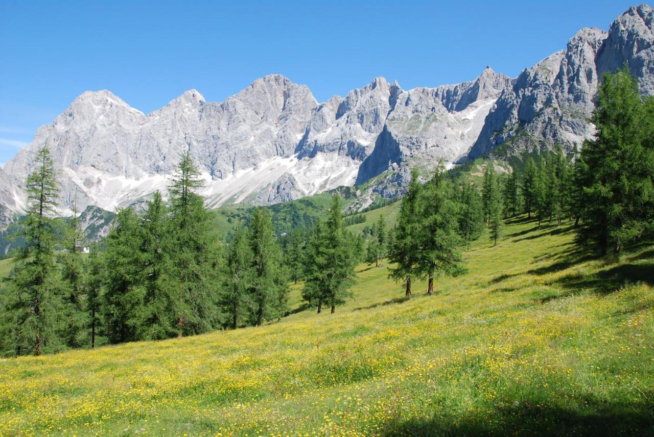 Ferienwohnung Gästehaus Herma Ramsau am Dachstein Exterior foto