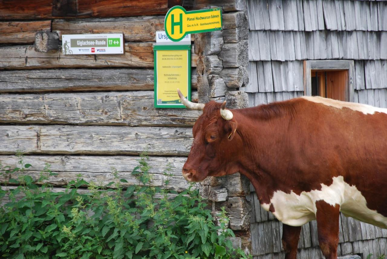 Ferienwohnung Gästehaus Herma Ramsau am Dachstein Exterior foto