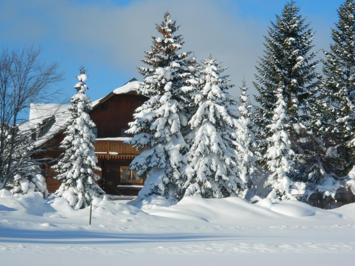 Ferienwohnung Gästehaus Herma Ramsau am Dachstein Exterior foto